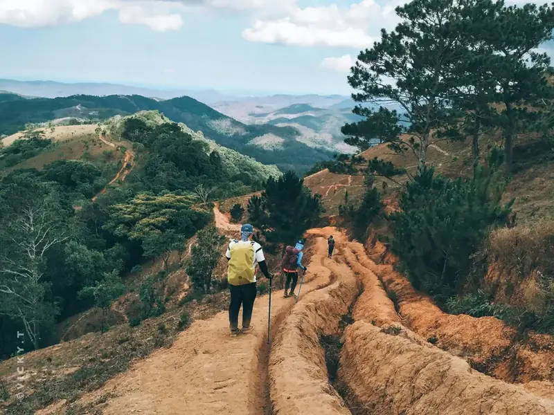 Scenic hiking trail on a hillside with lush valleys during summer near Nainital and Mukteshwar
