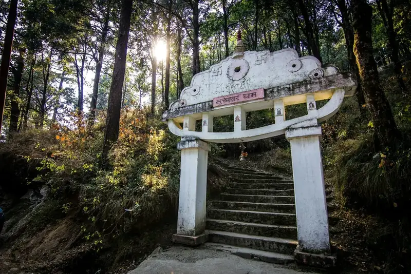 Mukteshwar Dham Temple staircase surrounded by dense pine trees at Adrushya Estates