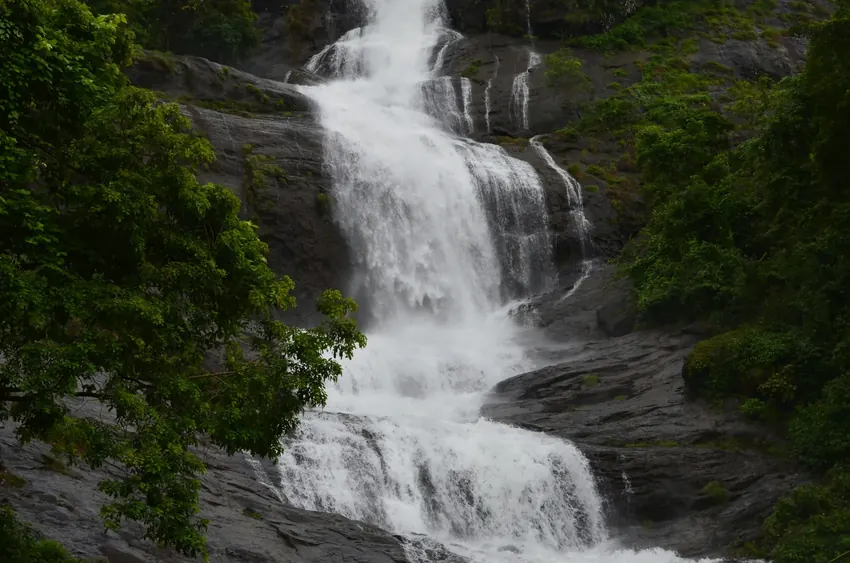 Bhalugaad Waterfall flowing over rocks surrounded by green plants and trees