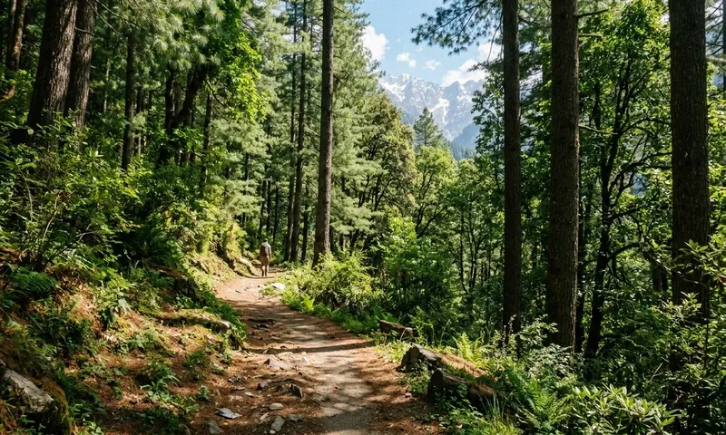 Nature Walks & Treks