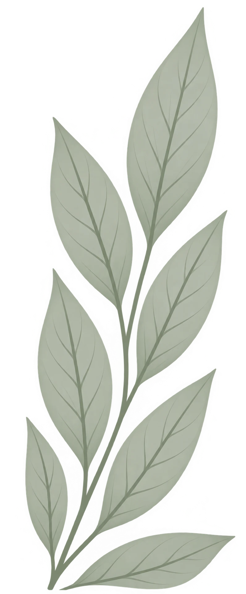 Leaf Decoration