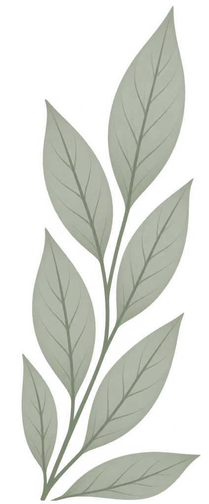 Leaf Motif